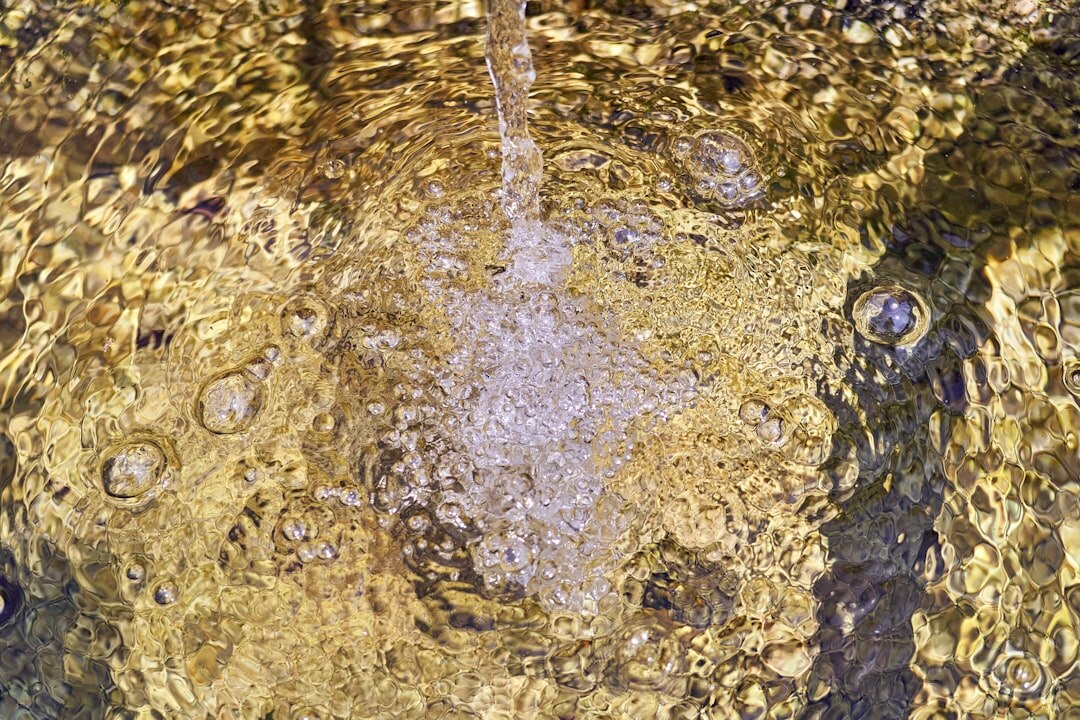 contaminated water sample