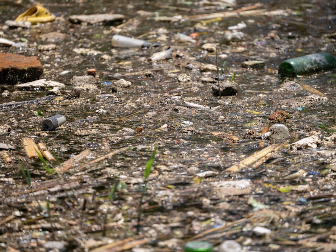 polluted river water